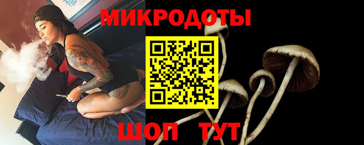 Чистополь  Псилоцибиновые грибы Cubensis  Вход с VPN 